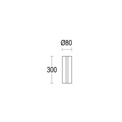 Segmento 1L 300 Graph